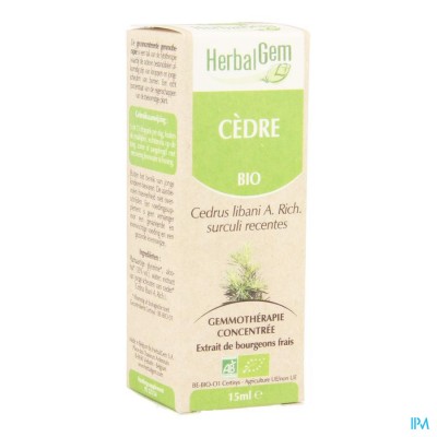 Herbalgem Cedre Macerat 15ml