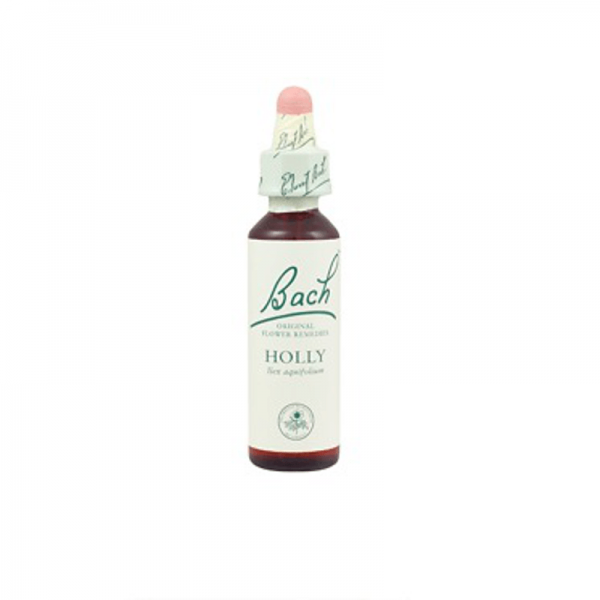 Bach Flower 11 Holly Gutt 10ml