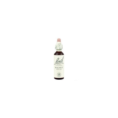 Bach Flower 12 Walnut Gutt 10ml