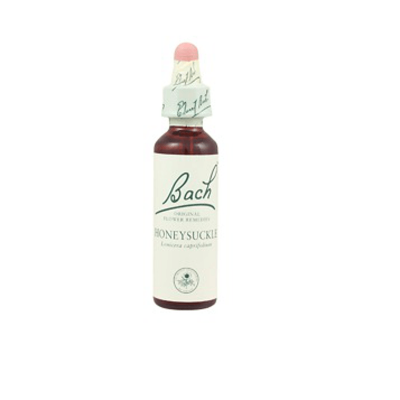 Bach Flower 14 Honeysuckle Gutt 10ml