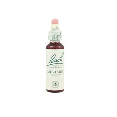 Mustard Gutt 10ml