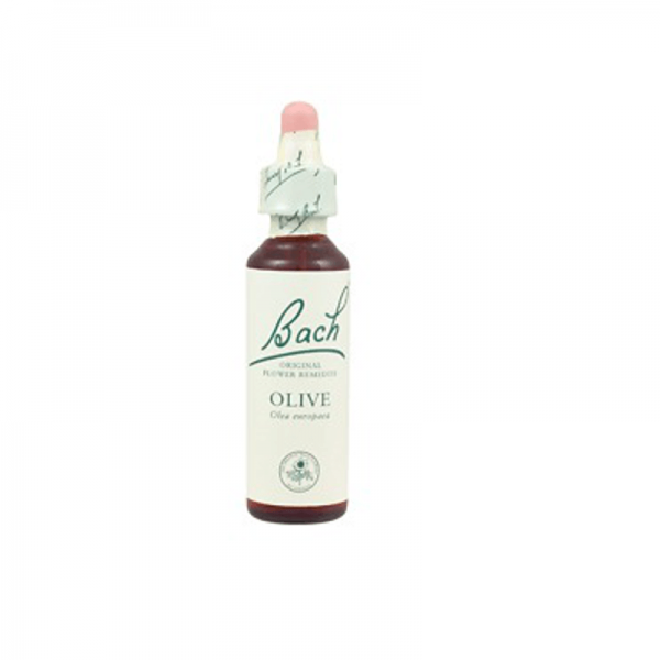 Bach Flower 19 Olive Gutt 10ml