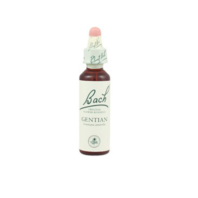 Bach Flower 23 Gentian Gutt 10ml