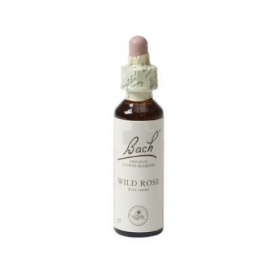 Bach Flower 16 Wild Rose Gutt 10ml