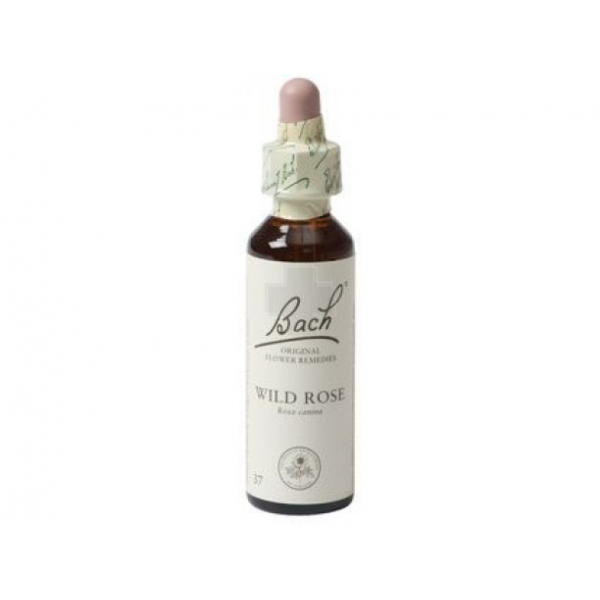 Bach Flower 16 Wild Rose Gutt 10ml