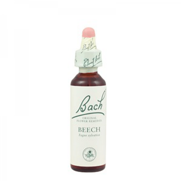 Bach Flower 28 Beech Gutt 10ml