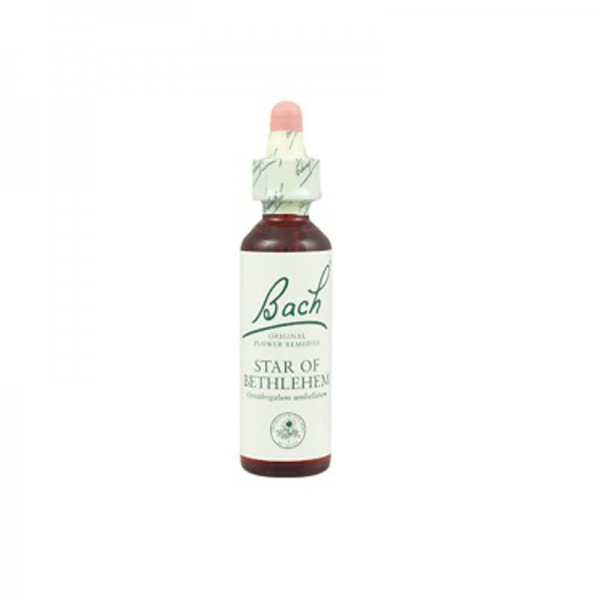 Bach Flower 35 Elm Gutt 10ml