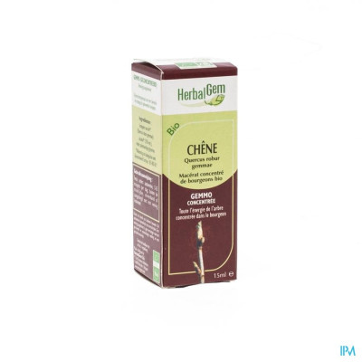 Herbalgem CHENE BIO Macérat - 15 ml