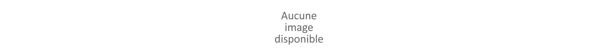 Système nerveux / cerveau