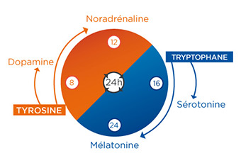 graphique neuromediateurs dynovance serovance